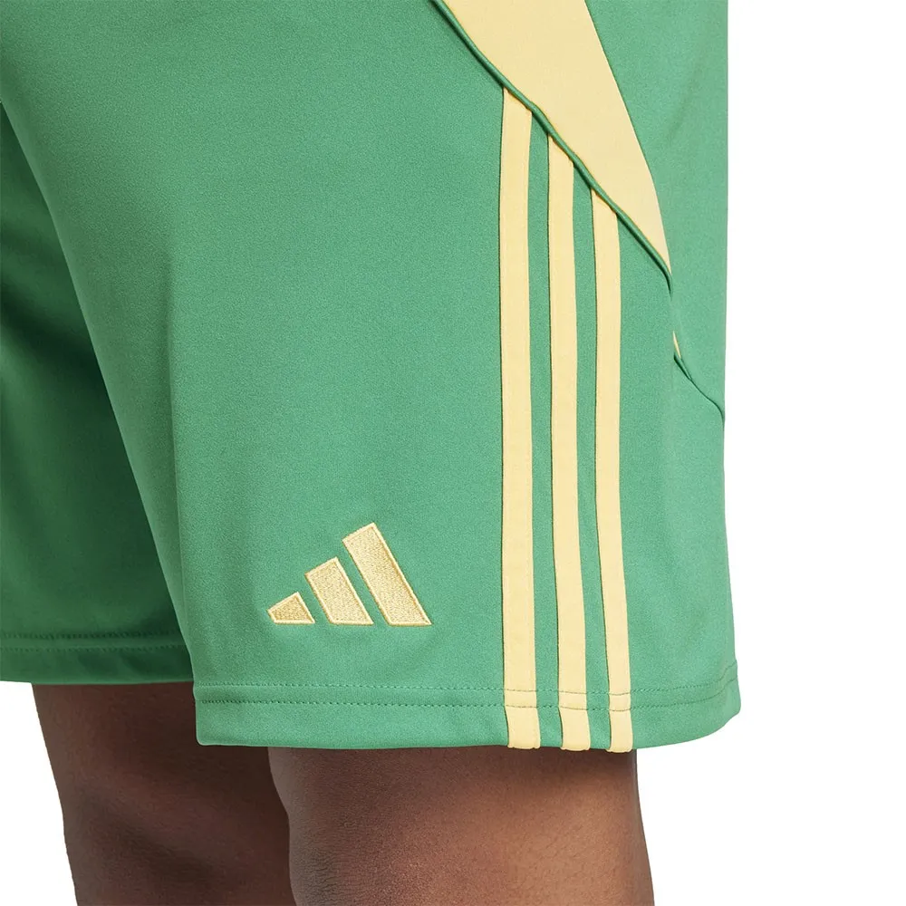 ADIDAS Pantaloncini Calcio Tiro24 Verde Giallo Uomo