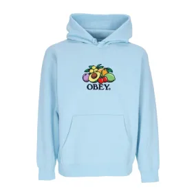 felpa cappuccio uomo basket hood fleece SKY BLUE